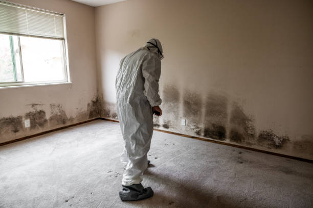 Best Asbestos and Lead Testing During Mold Inspection  in Wilmington Manor, DE